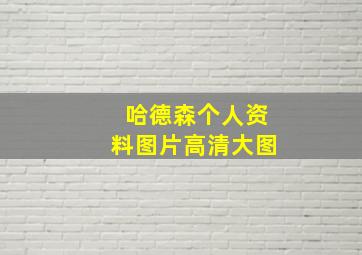 哈德森个人资料图片高清大图