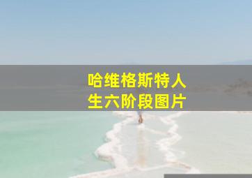 哈维格斯特人生六阶段图片