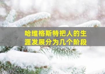 哈维格斯特把人的生涯发展分为几个阶段