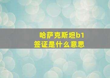 哈萨克斯坦b1签证是什么意思