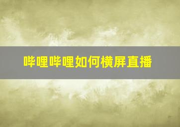 哔哩哔哩如何横屏直播