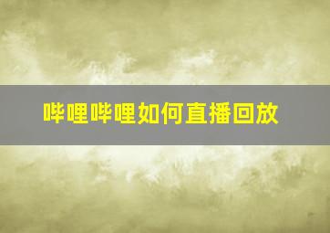 哔哩哔哩如何直播回放