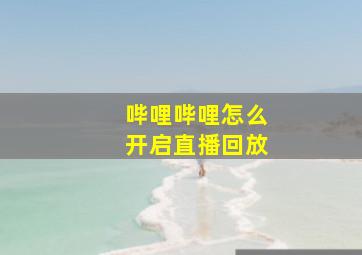 哔哩哔哩怎么开启直播回放