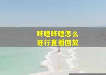 哔哩哔哩怎么进行直播回放