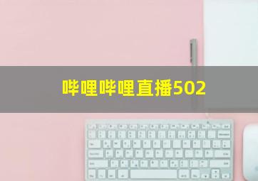 哔哩哔哩直播502