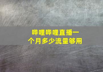 哔哩哔哩直播一个月多少流量够用