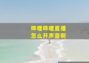 哔哩哔哩直播怎么开声音啊