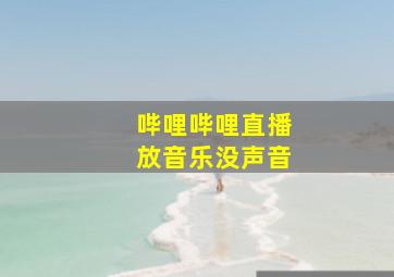 哔哩哔哩直播放音乐没声音