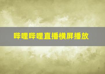 哔哩哔哩直播横屏播放