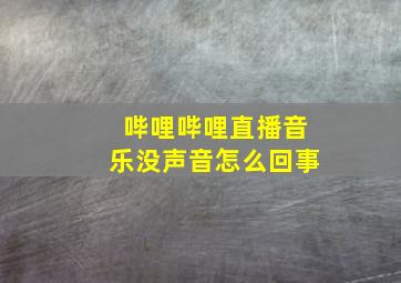 哔哩哔哩直播音乐没声音怎么回事