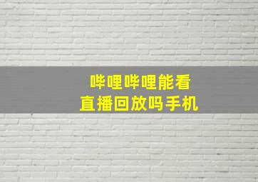 哔哩哔哩能看直播回放吗手机