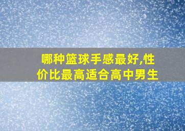 哪种篮球手感最好,性价比最高适合高中男生