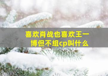 喜欢肖战也喜欢王一博但不组cp叫什么