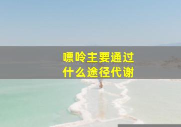 嘌呤主要通过什么途径代谢