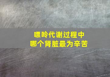 嘌呤代谢过程中哪个肾脏最为辛苦