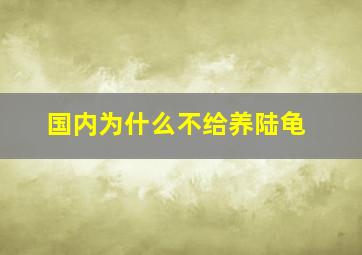 国内为什么不给养陆龟