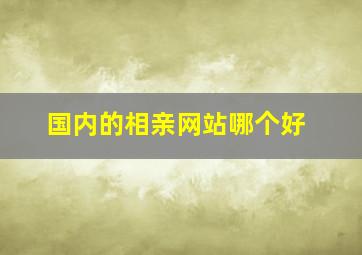 国内的相亲网站哪个好