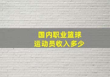 国内职业篮球运动员收入多少