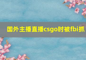 国外主播直播csgo时被fbi抓