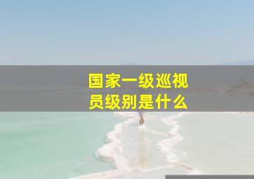 国家一级巡视员级别是什么