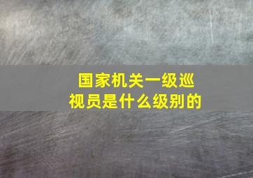 国家机关一级巡视员是什么级别的