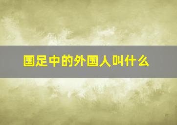 国足中的外国人叫什么