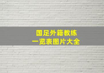 国足外籍教练一览表图片大全