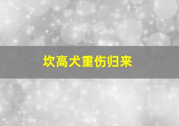 坎高犬重伤归来