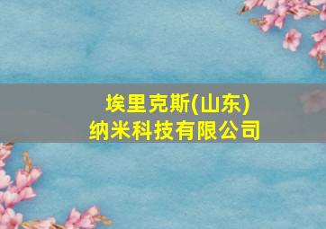 埃里克斯(山东)纳米科技有限公司