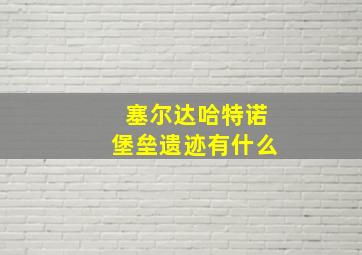 塞尔达哈特诺堡垒遗迹有什么