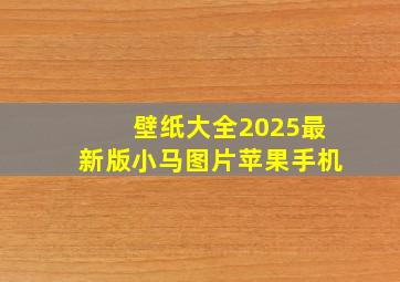 壁纸大全2025最新版小马图片苹果手机