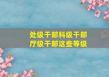 处级干部科级干部厅级干部这些等级