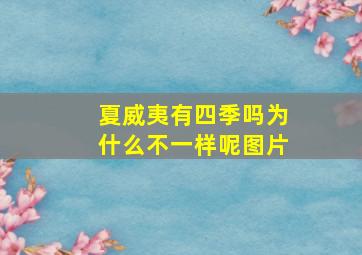 夏威夷有四季吗为什么不一样呢图片