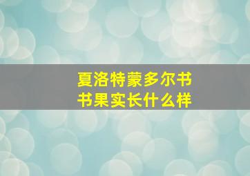 夏洛特蒙多尔书书果实长什么样