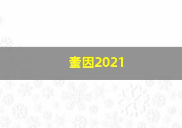 奎因2021