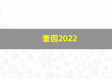 奎因2022