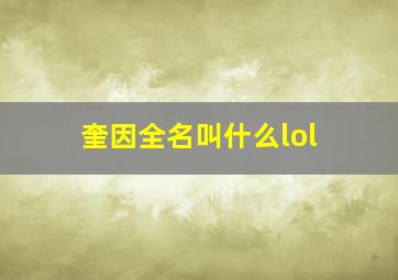 奎因全名叫什么lol