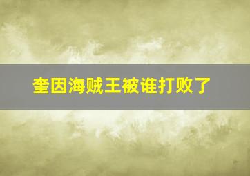 奎因海贼王被谁打败了