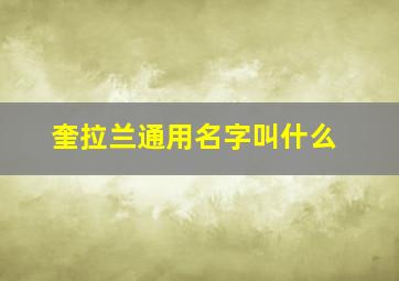 奎拉兰通用名字叫什么