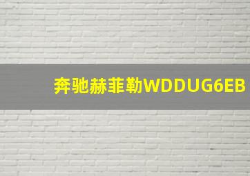 奔驰赫菲勒WDDUG6EB