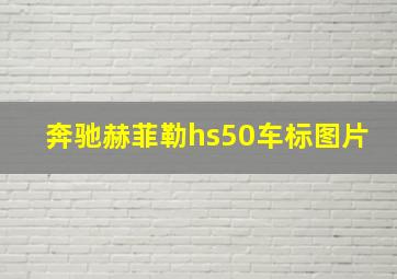 奔驰赫菲勒hs50车标图片