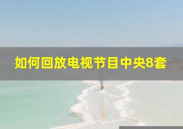 如何回放电视节目中央8套