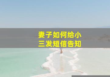 妻子如何给小三发短信告知