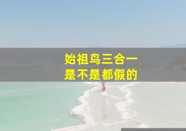 始祖鸟三合一是不是都假的