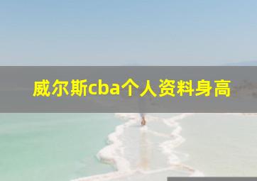 威尔斯cba个人资料身高