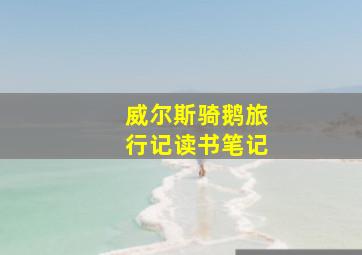 威尔斯骑鹅旅行记读书笔记