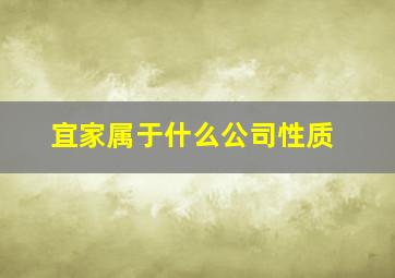 宜家属于什么公司性质