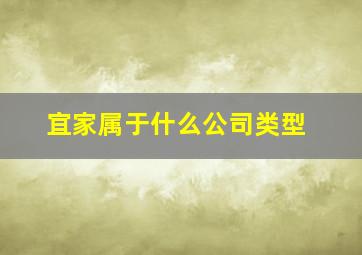 宜家属于什么公司类型