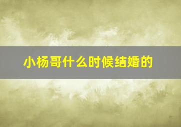 小杨哥什么时候结婚的