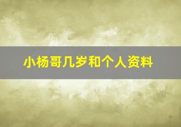 小杨哥几岁和个人资料